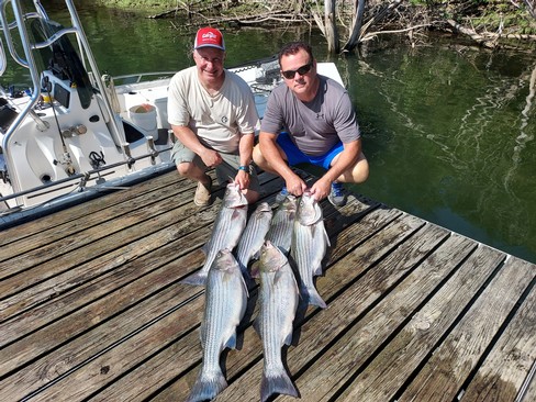 Nice Striped Bass