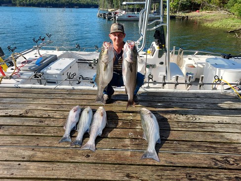 Nice Striped Bass