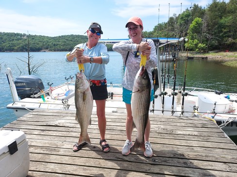 Nice Striped Bass