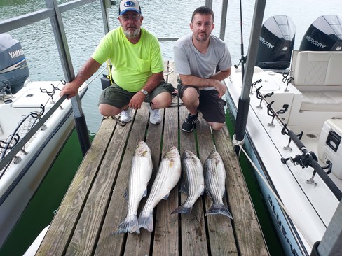 Nice Striped Bass