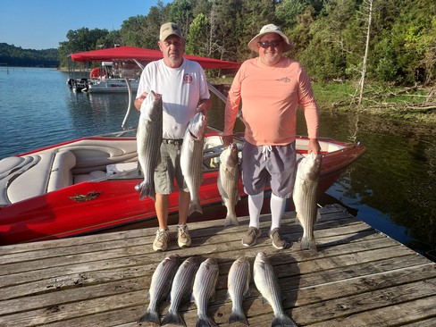 Nice Striped Bass