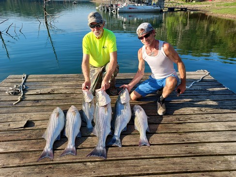 Nice Striped Bass