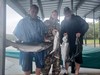 (07/30/2022) - Nice Striped Bass