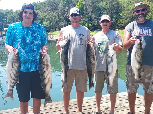 Nice Striped Bass