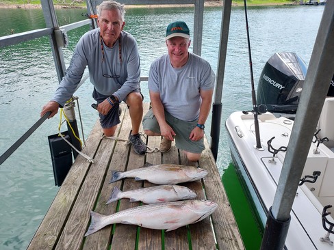 Nice Striped Bass