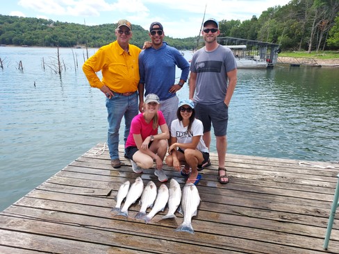 Nice Striped Bass