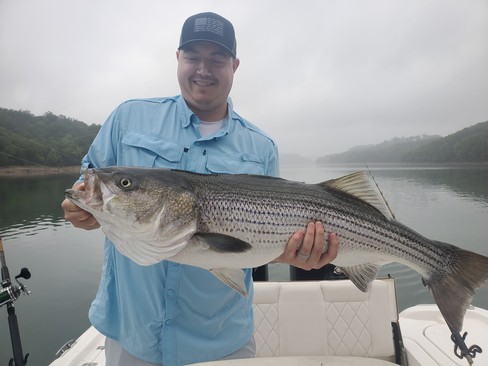Nice Striped Bass