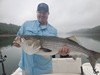 (08/17/2022) - Nice Striped Bass