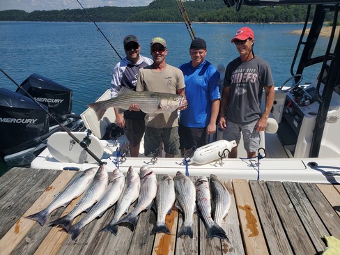 Nice Striped Bass