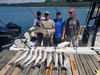 (08/19/2022) - Nice Striped Bass