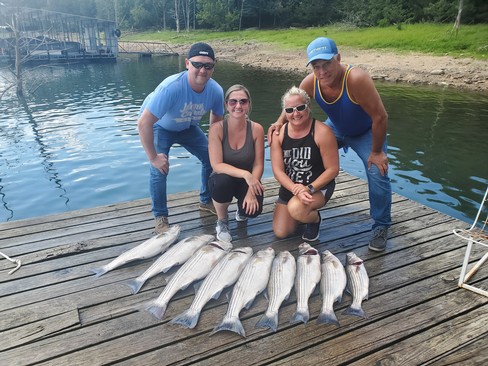 Nice Striped Bass