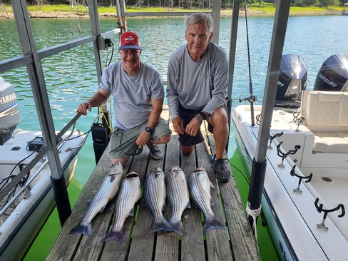 Nice Striped Bass