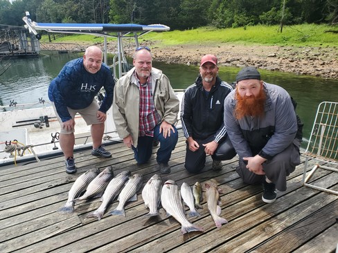 Nice Striped Bass