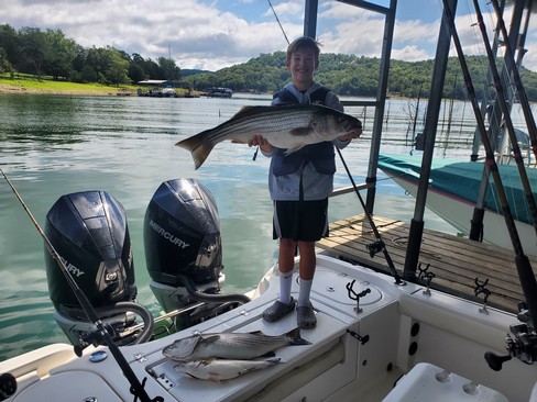 Nice Striped Bass