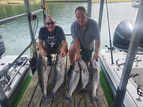 Nice Striped Bass