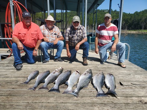 Nice Striped Bass