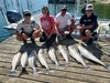 (09/08/2022) - Nice Striped Bass