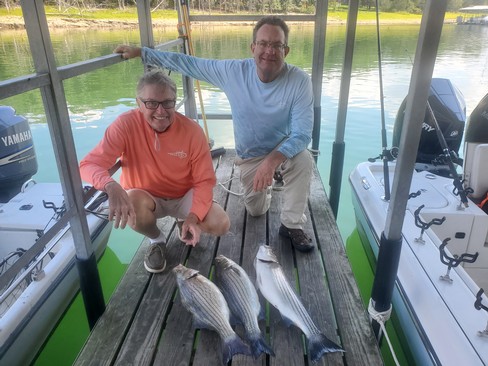 Nice Striped Bass