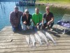 (09/10/2022) - Nice Striped Bass