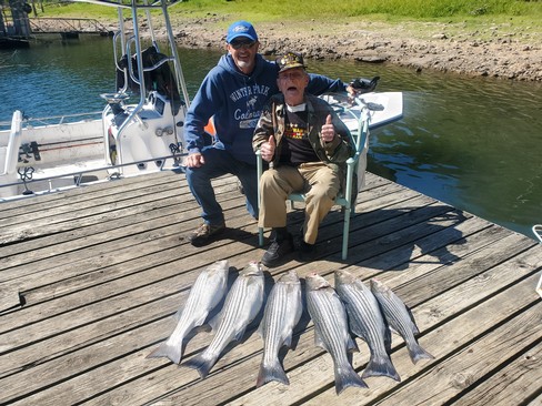 Nice Striped Bass