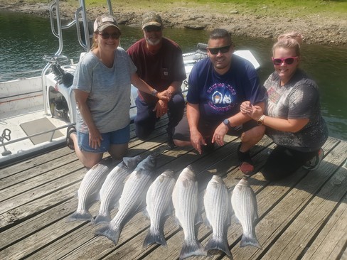 Nice Striped Bass