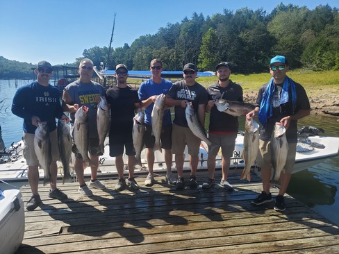 Nice Striped Bass