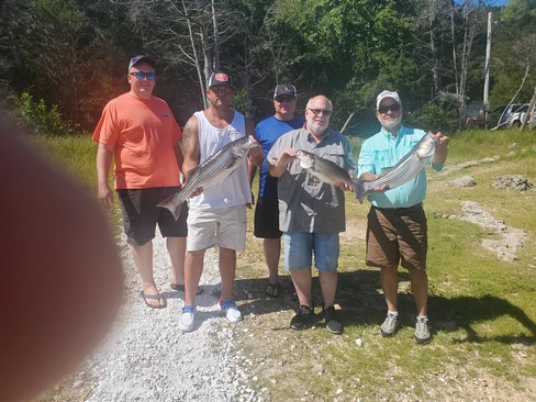 Nice Striped Bass