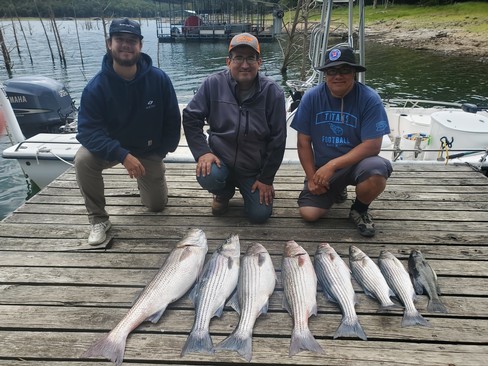 Nice Striped Bass