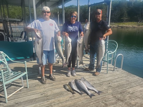 Nice Striped Bass