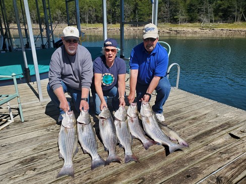 Nice Striped Bass