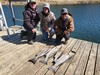 (10/18/2022) - Nice Striped Bass
