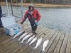 (10/24/2022) - Nice Striped Bass