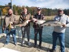 (10/28/2022) - Nice Striped Bass