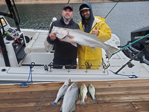 Nice Striped Bass