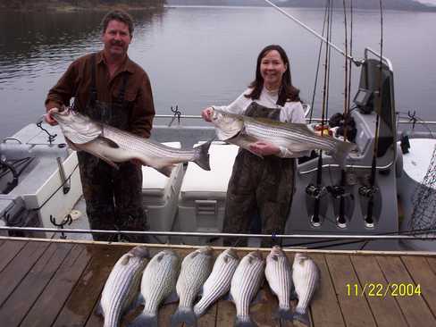 Nice Striped Bass