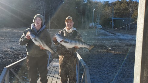 Nice Striped Bass