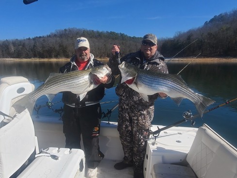 Nice Striped Bass