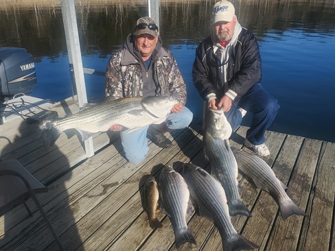 Nice Striped Bass