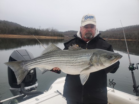 Nice Striped Bass