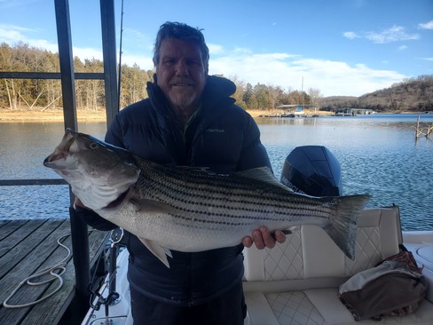 Nice Striped Bass