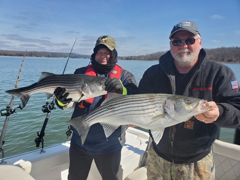 Nice Striped Bass