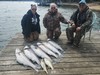 (03/15/2023) - Nice Striped Bass