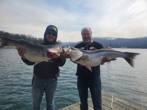 Nice Striped Bass