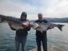 (03/15/2023) - Nice Striped Bass