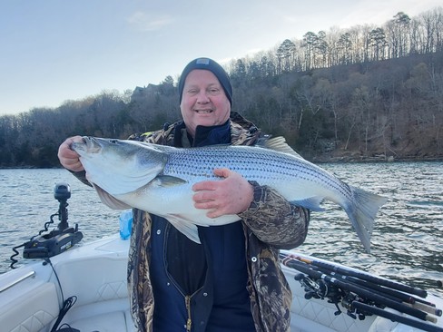 Nice Striped Bass