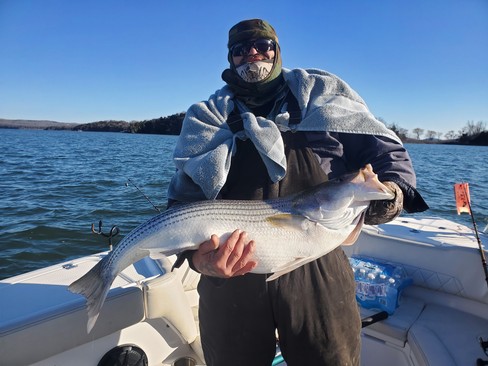 Nice Striped Bass