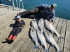 (03/19/2023) - Nice Striped Bass