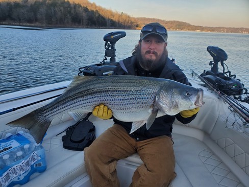 Nice Striped Bass