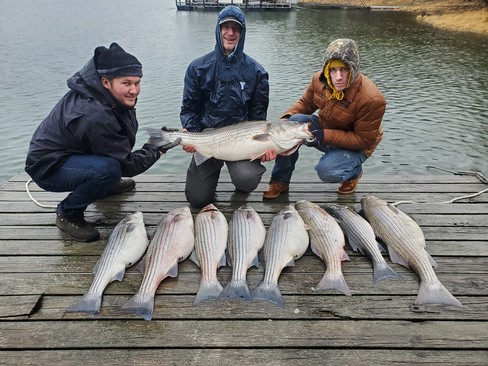 Nice Striped Bass