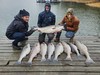 (03/21/2023) - Nice Striped Bass